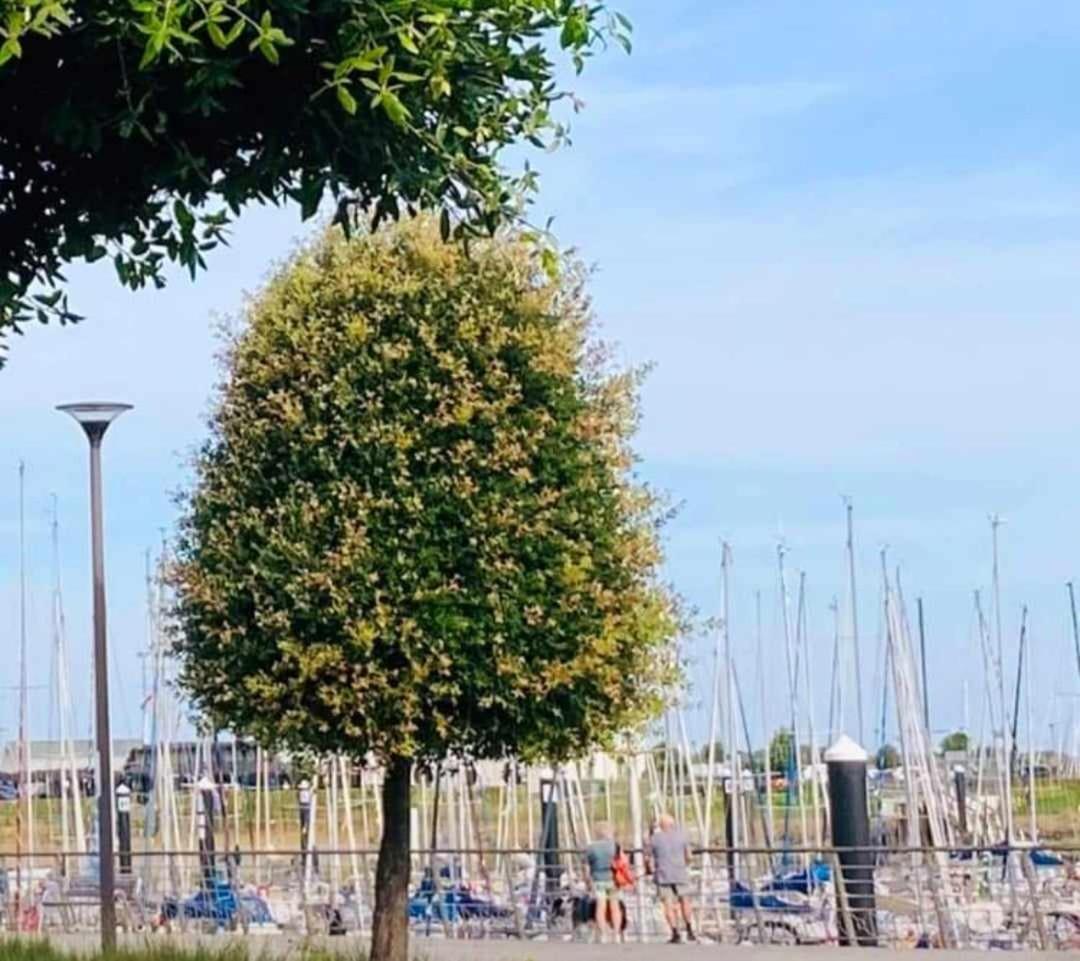 Duplex Villa Capricia Appartement Met Zwembad Nieuwpoort Jachthaven Exterior foto